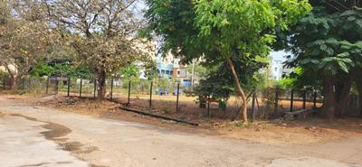 B Zone Plot View 2