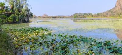 Image of 5989 Sq.ft Residential Plot / Land for sale in Ramanagara, Bengaluru for Rs. 7181431