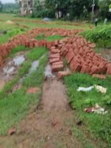 Image of 1200 Sq.ft Residential Plot / Land for sale in Benupur, Bhubaneswar for Rs. 2760000