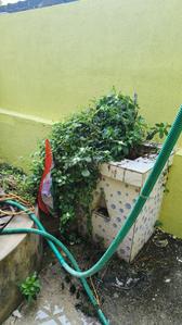 Balcony Image of 3000 Sq.ft 3 BHK Independent House for rent in Bariatu Ranchi for Rs. 25000