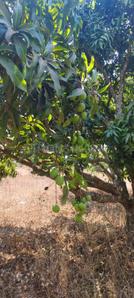 Image of 5989 Sq.ft Residential Plot / Land for sale in Ramanagara, Bengaluru for Rs. 7181431