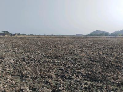 Sarde Plot View 2