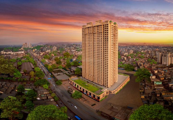 Paradise Sai World Legend Phase 1 Main Image 1