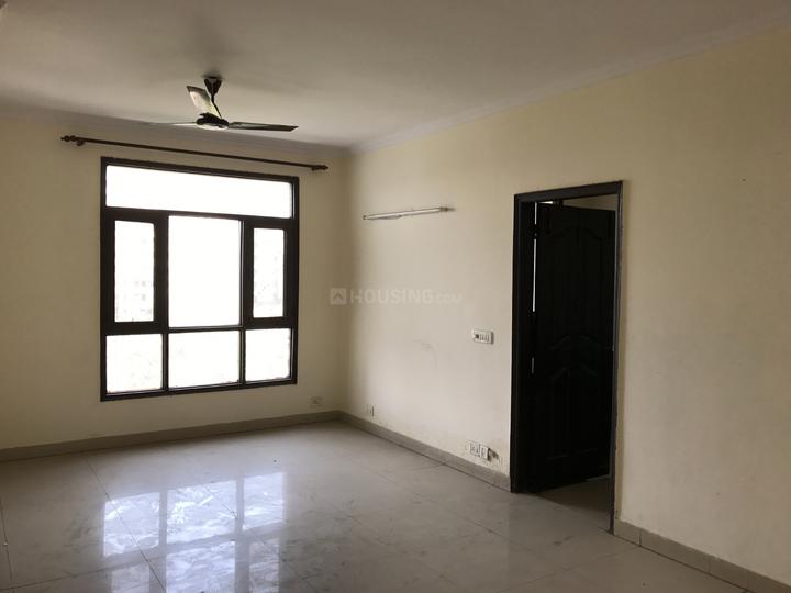 Niho Jasmine Scottish Garden Main Image 1