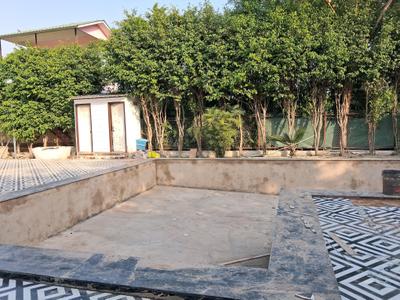 Swimming Pool Image of 4000 Sq.ft 4 BHK Villa for sale in Dkrrish Green Beauty Farms, Nagli Sabapur Noida for Rs. 48000000