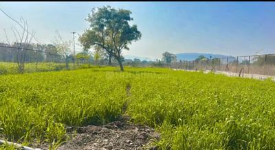 Image of 1089 Sq.ft Residential Plot / Land for sale in Pen, Raigad for Rs. 458000