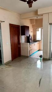 Hall Image of 585 Sq.ft 1 BHK Apartment / Flat for rent in Amrapali Dream Valley 2, Noida Extension Greater Noida for Rs. 12000