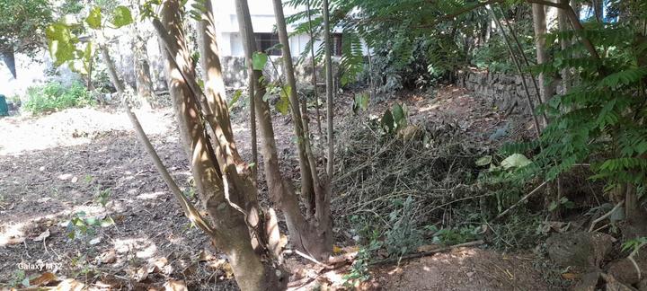 ipp. Bobby Thambi, Kureekkad village Main Image 1