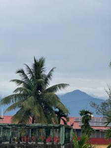 Image of 1100 Sq.ft 2 BHK Apartment / Flat for rent in Pradhan Nagar, Siliguri for Rs. 22000