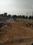 ROYAL RAJPUTANA CO Plot View 2