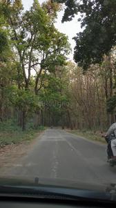 Image of 1350 Sq.ft Residential Plot / Land for sale in Shahpur Santore, Dehradun for Rs. 6075000