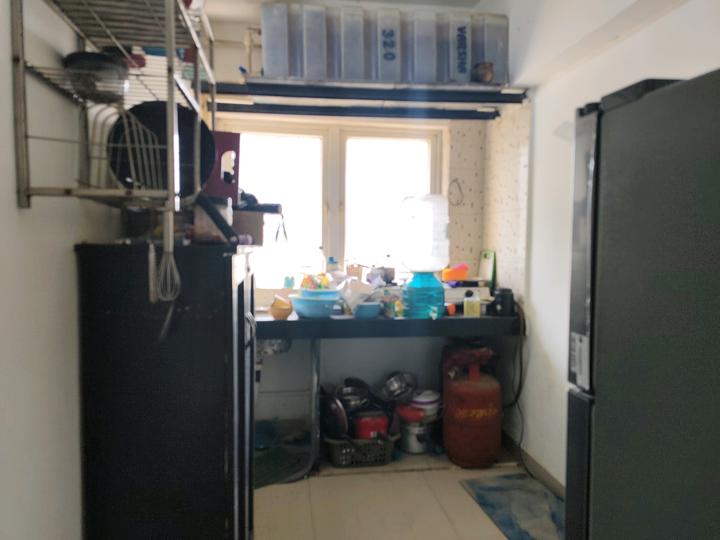 Palm Island Main Image 1