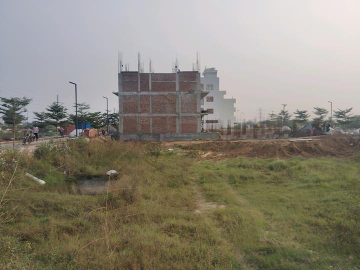 Skywhales Vienna Greens II Main Image 1