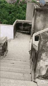 Image of 900 Sq.ft 2 BHK Apartment / Flat for sale in Vidya Apartment, Paschim Vihar, New Delhi for Rs. 10500000