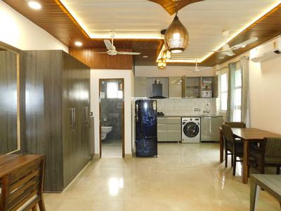Hall Image of 1000 Sq.ft 2 BHK Apartment / Flat for rent in Green Park Extension New Delhi for Rs. 80000
