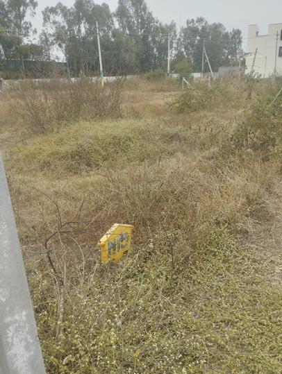 Bidarahalli Main Image 1