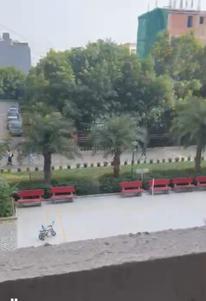 Balcony Image of 591 Sq.ft 2 BHK Apartment / Flat for rent in Pyramid Fusion Homes, Sector 70A Gurgaon for Rs. 36000