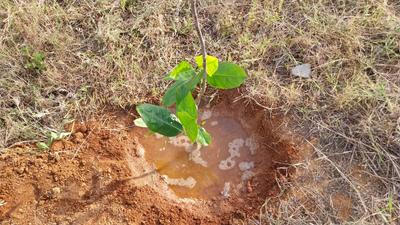 Image of 970 Sq.ft Residential Plot / Land for sale in Bagalur, Hosur for Rs. 1450000