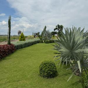 Image of 600 Sq.ft Residential Plot / Land for sale in Shri Krishna Divine Greens, Sanwer, Indore for Rs. 1710600