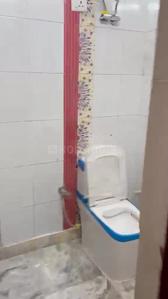 Bathroom Image of 891 Sq.ft 3 BHK Apartment / Flat for rent in Asola New Delhi for Rs. 15000