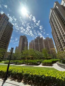 Image of 1750 Sq.ft 3 BHK Apartment / Flat for rent in ACE Parkway, Sector 150, Noida for Rs. 75000