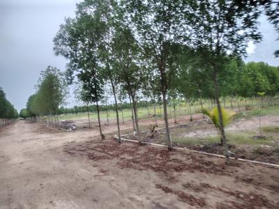 Image of 12000 Sq.ft Residential Plot / Land for sale in Uthiramerur, Chennai for Rs. 4000000