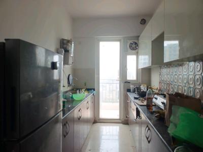 Kitchen Image of 1450 Sq.ft 3 BHK Apartment / Flat for rent in Patel Neotown Phase 1, Noida Extension Greater Noida for Rs. 30000