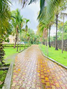Image of 4200 Sq.ft 2 BHK Independent House for rent in Shri Swami Samartha Nagar, Alibag for Rs. 60000