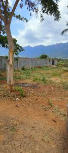 Image of 1456 Sq.ft Residential Plot / Land for sale in Kuppakonam Pudur, Coimbatore for Rs. 5678000