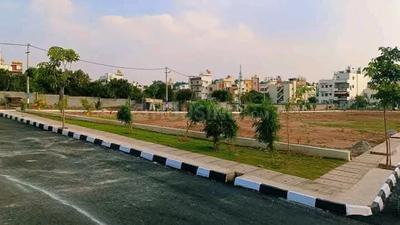 Plot View