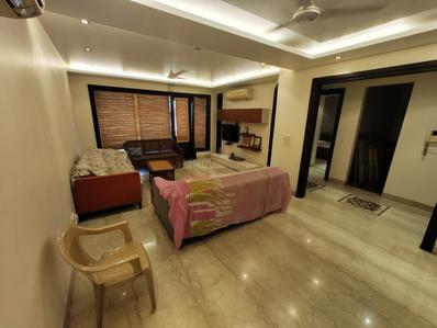 Hall Image of 2400 Sq.ft 3 BHK Builder Floor for sale in Hauz Khas New Delhi for Rs. 57000000