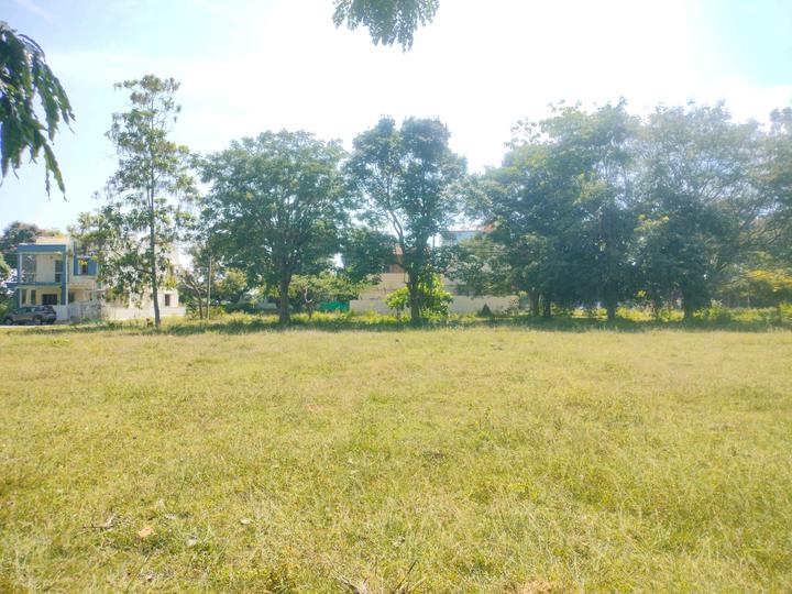Nandanavana layout Plot View 1