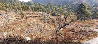 Image of 29025 Sq.ft Residential Plot / Land for sale in Bhimtal, Nainital for Rs. 20250000