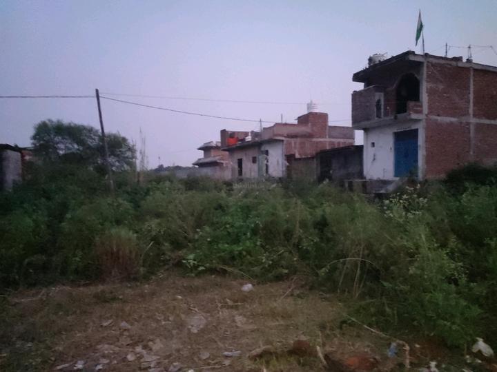 Kulesara Main Image 1