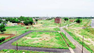 Block C Plot View 1
