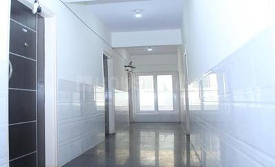 Image of colive magnum in Munnekollal, Bangalore