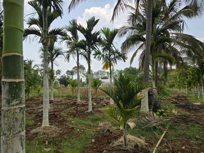 Image of 174240 Sq.ft Residential Plot / Land for sale in Doddaballapura, Bengaluru for Rs. 104000000