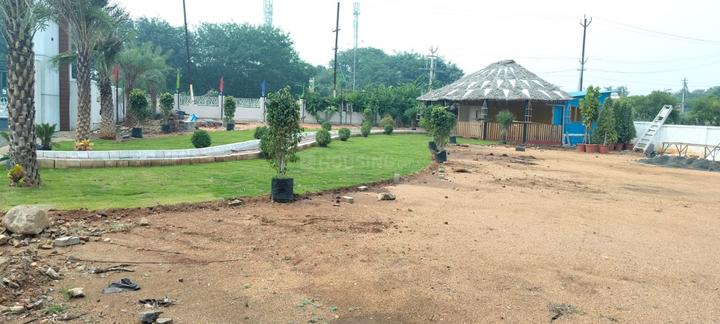 Paravai Main Image 1