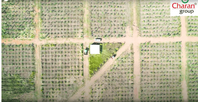 Image of 200 Sq.ft Residential Plot / Land for sale in Kothavalasa, Visakhapatnam for Rs. 1200000