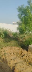 Image of 450 Sq.ft Residential Plot / Land for sale in Sector 22B, Greater Noida for Rs. 13000000