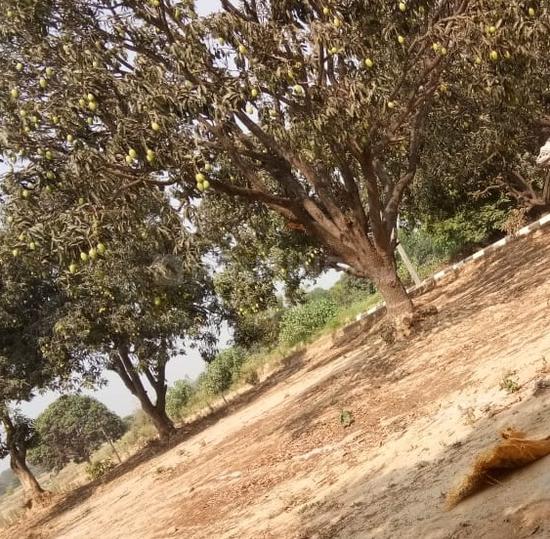 Dubagga Main Image 1