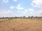 SGD Elite Plot View 2