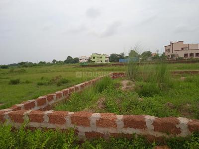 Nanput Plot View 3
