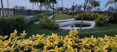 Image of 1000 Sq.ft Residential Plot / Land for sale in The Palm Valley, Anora Kala, Lucknow for Rs. 3399000