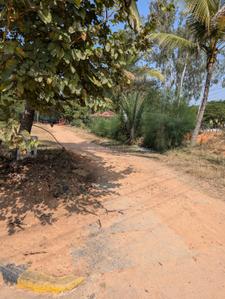 Image of 12000 Sq.ft Residential Plot / Land for sale in Devanahalli, Bengaluru for Rs. 96000000
