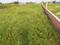 Kalikapur, EM Bypass Plot View 2