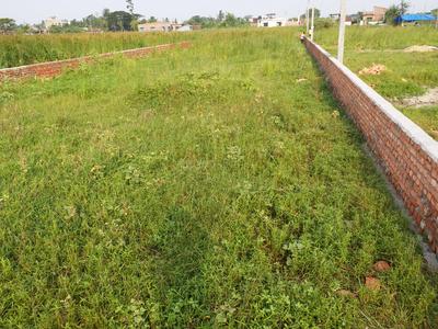 Prince Park Plot View 2