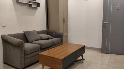 Living Room Image of 824 Sq.ft 1 BHK Independent House for rent in DLF Phase 3 Gurgaon for Rs. 36000
