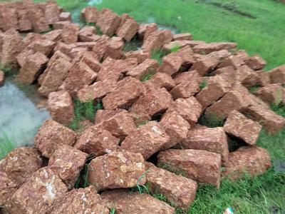 Image of 1800 Sq.ft Residential Plot / Land for sale in Balianta, Bhubaneswar for Rs. 4140000