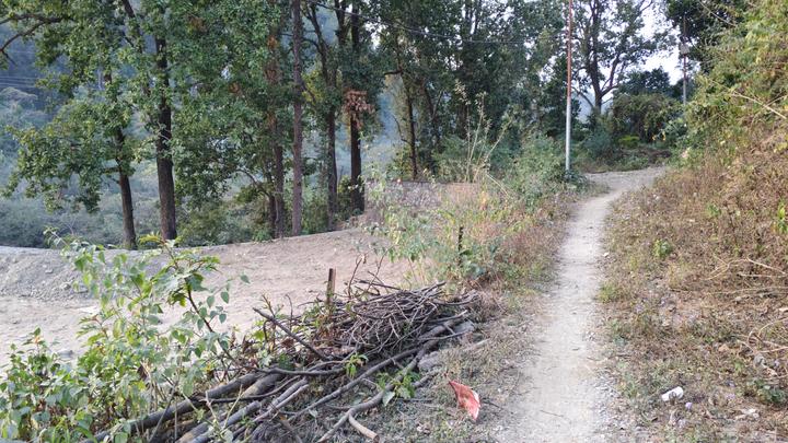 Jamoliwala, Bhagwant Pur Main Image 1